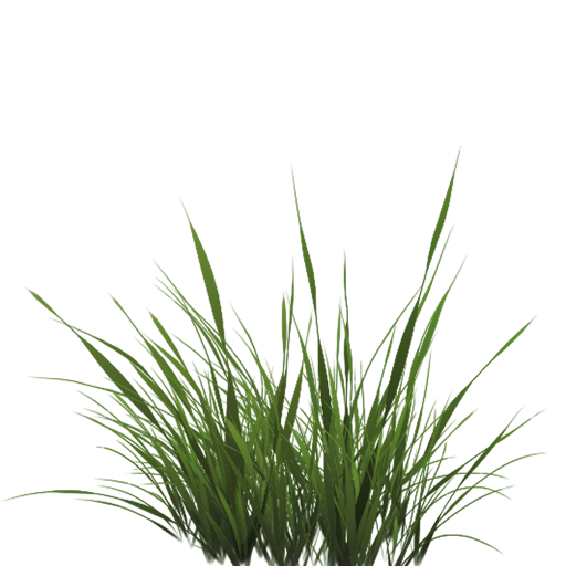 草